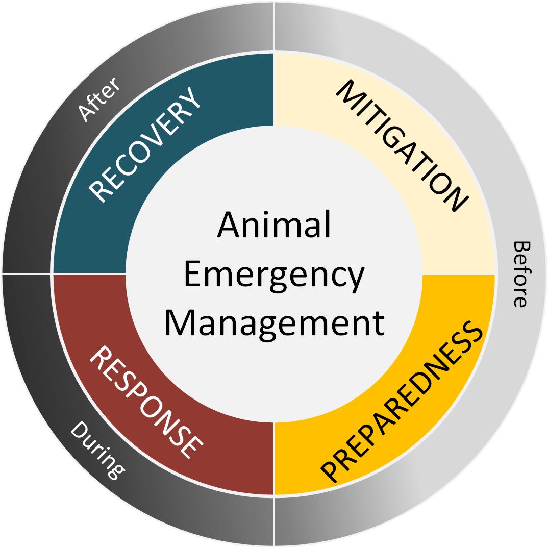 Circular diagram titled “Animal Emergency Management” showing four phases: Preparedness and Mitigation (before an emergency), Response (during), and Recovery (after).