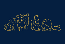 Line illustration of various animals including a monkey, sheep, dog, bird, and rabbit on a dark background.