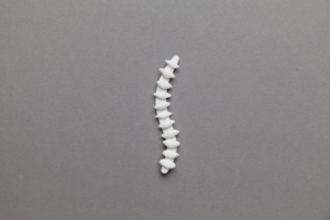 A simplified model of a vertebral column arranged on a plain background.